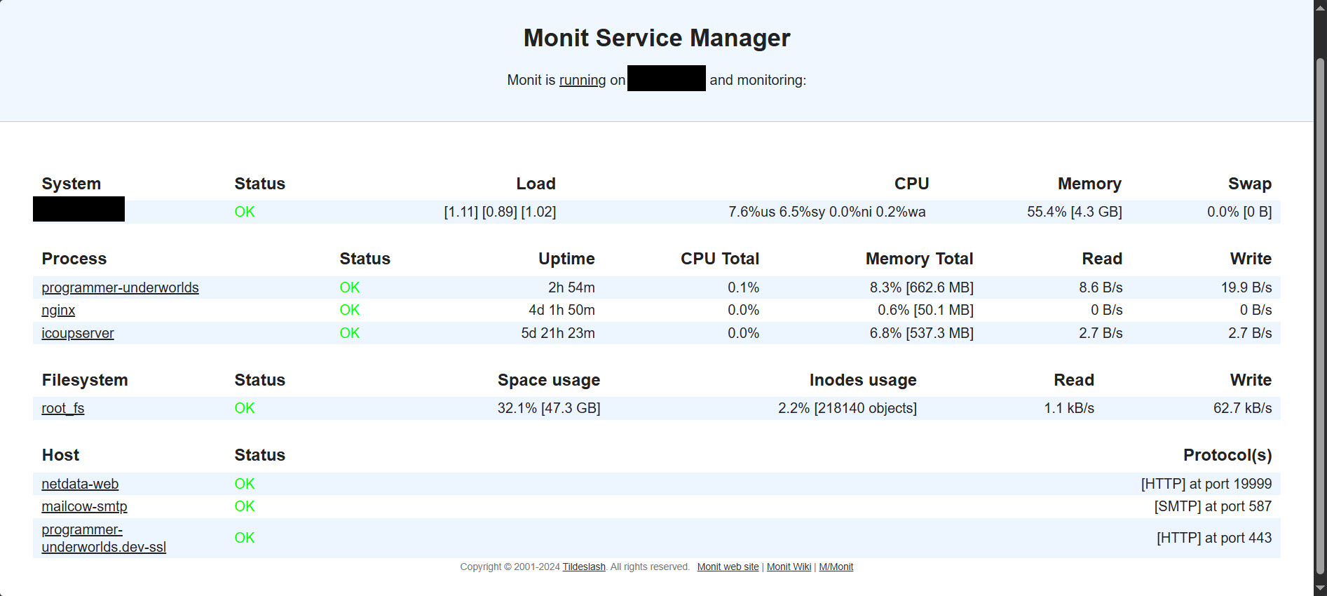 Monit resource monitoring page